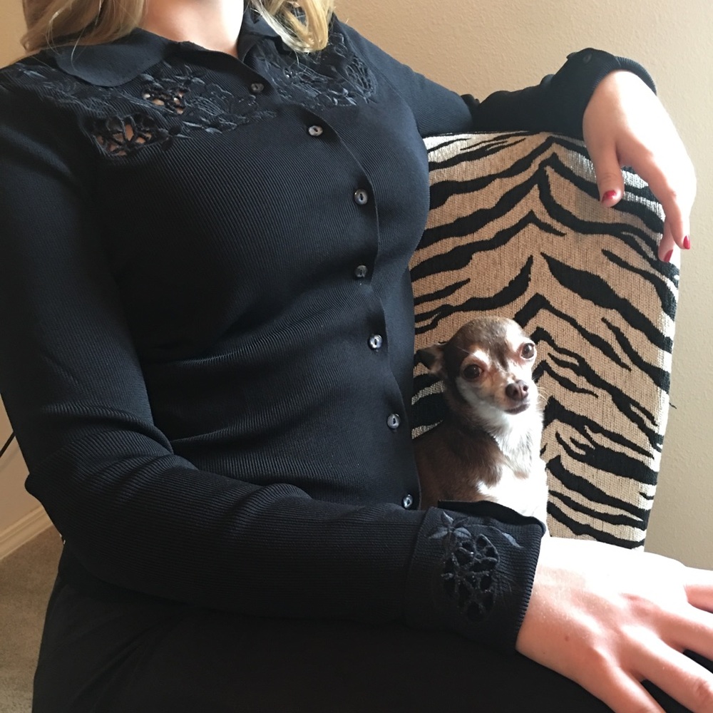 Ladies Classy Sleek Black Dress Blouse